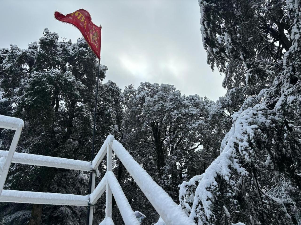 Hotel Jakhu Heights Shimla Exterior foto
